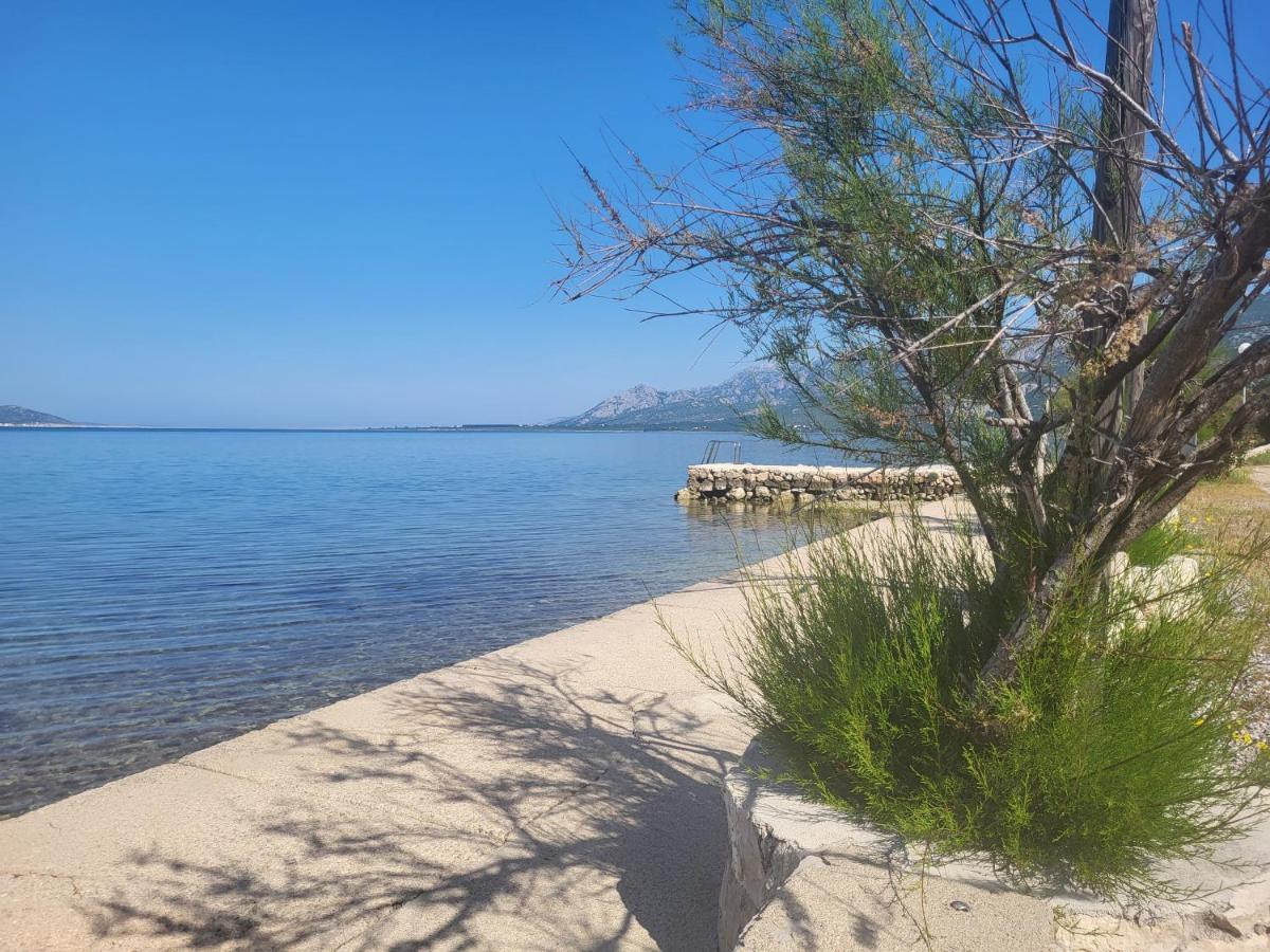 Apartman Anabella Rovanjska Esterno foto